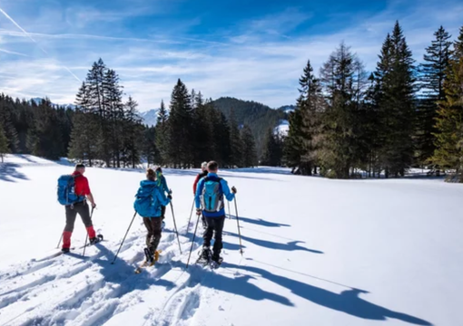 Vacanze sulla neve, 8 milioni di italiani in viaggio: il Piemonte tra le mete più scelte