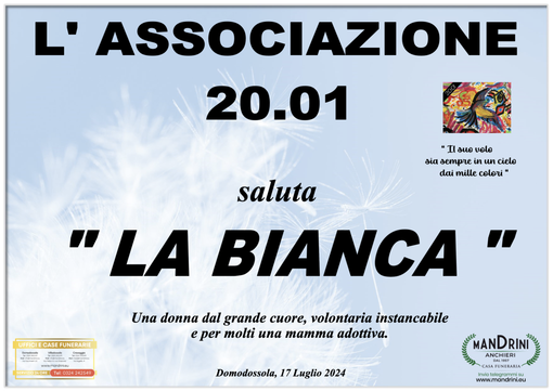 Partecipazione