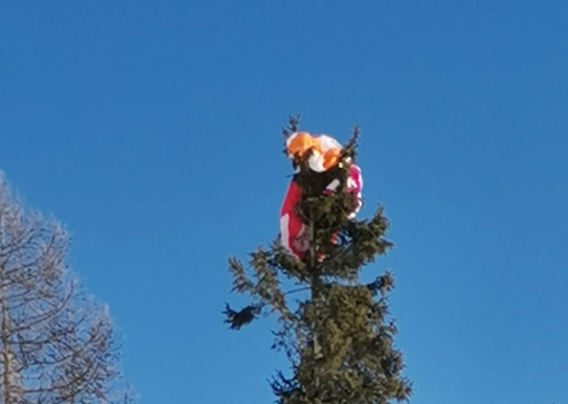 Parapendista finisce sulla cima di una pianta, soccorsi in azione