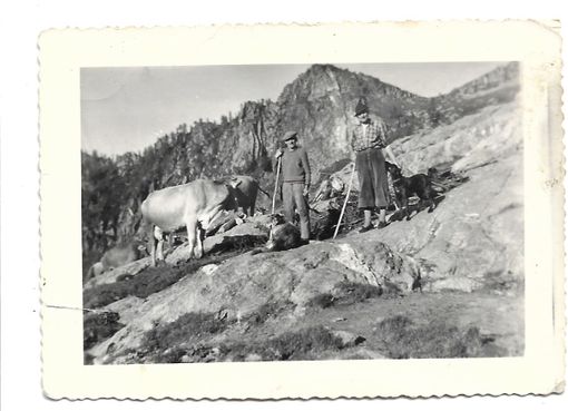 Alpeggi delle Alpi: alpi e alpigiani in Val d’Ossola