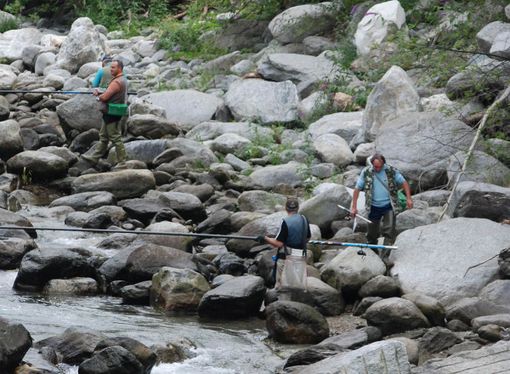 Dalla Regione 1,5 milioni di euro per la pesca e acquacoltura in Piemonte Dalla Regione 1,5 milioni di euro per la pesca e acquacoltura in Piemonte