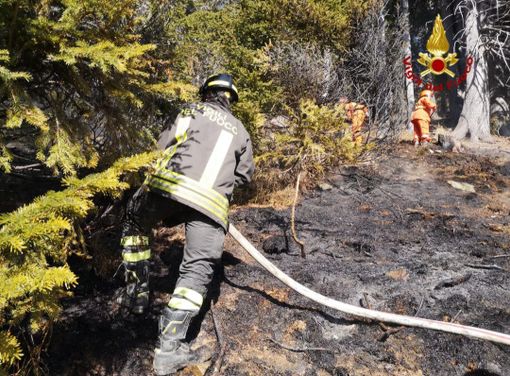 Incendio nel bosco alla Piana di Vigezzo: intervento dei vigili del fuoco