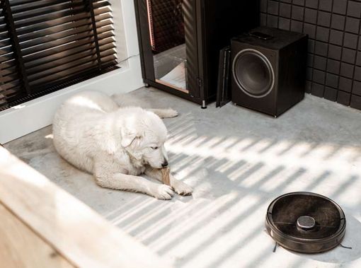 Pulizia: ecco i robot aspirapolvere più richiesti del momento