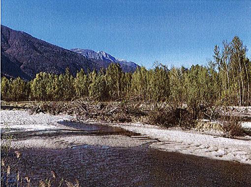 Revocato il finanziamento regionale per il ponte della Masone, Blardone: “Gravi pericolosità, decisione incomprensibile” Revocato il finanziamento regionale per il ponte della Masone, Blardone: “Gravi pericolosità, decisione incomprensibile”