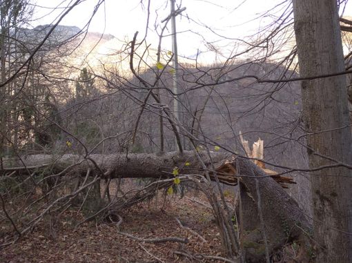 E' tornata l'energia elettrica ad Anzino E' tornata l'energia elettrica ad Anzino