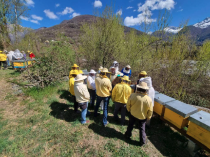 Giacomo Prina resta alla guida degli apicoltori ossolani