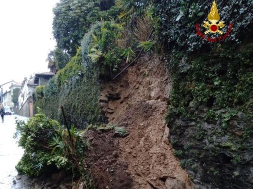 Maltempo, albero cade sulla statale 337 a Druogno: intervengono i vigili del fuoco