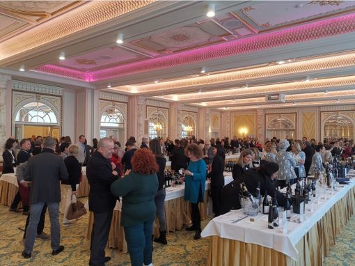 "Vino, Sostantivo Femminile" ha portato sul Lago Maggiore 500 appassionati e 90 produttrici