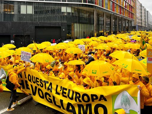 Anche Coldiretti Novara-Vco in piazza a Bruxelles:  stop burocrazia e misure urgenti per reddito imprese