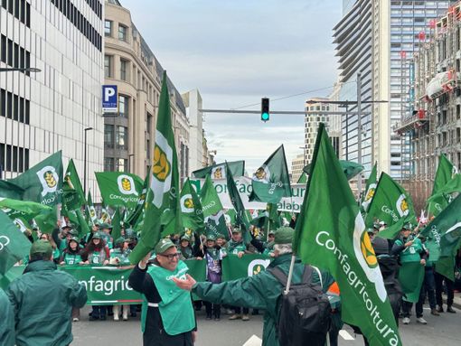 L’agricoltura protesta a Bruxelles, Giansanti “Asset strategico per l’Europa” L’agricoltura protesta a Bruxelles, Giansanti “Asset strategico per l’Europa”