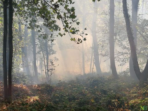 Incendi, il Piemonte regge ma l’Italia brucia: Legambiente lancia l’allarme e chiede un cambio di passo Incendi, il Piemonte regge ma l’Italia brucia: Legambiente lancia l’allarme e chiede un cambio di passo