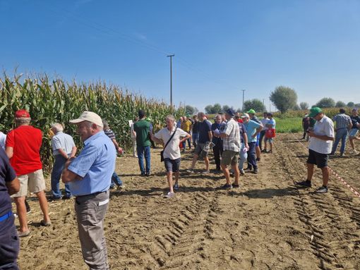 Risultati e nuovi scenari del settore maidicolo al Pignatelli Day