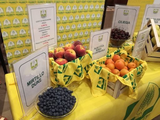 Coldiretti: “L’emergenza Covid ha fatto emergere consapevolezza sul valore strategico del cibo”