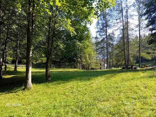 Annullato l’evento “Raccontalo alle api” all’Alpe Gomba in Val Bognanco