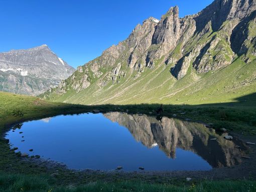 San Domenico, otto giorni di musica e spettacoli