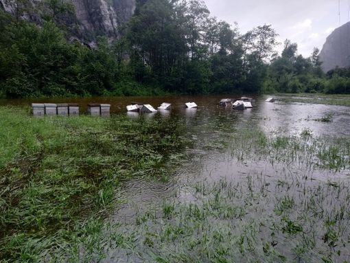 Il maltempo ha colpito duramente gli apicoltori: molti gli alveari distrutti Il maltempo ha colpito duramente gli apicoltori: molti gli alveari distrutti