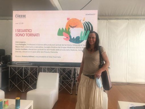 “Lupi iperprotetti: esperimento UE ingiusto, troppo costoso e già fallito” “Lupi iperprotetti: esperimento UE ingiusto, troppo costoso e già fallito”