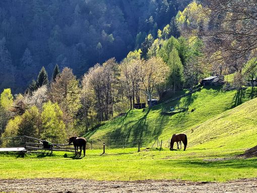 Si conclude la stagione invernale di Domobianca365