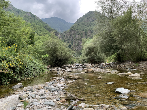 Siccità, le proposte di Regione Piemonte e della Commissione Ambiente Energia e Sostenibilità Siccità, le proposte di Regione Piemonte e della Commissione Ambiente Energia e Sostenibilità