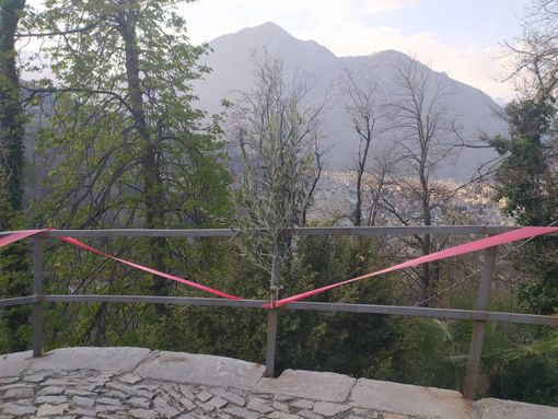 Ecco gli orari delle messe della domenica delle Palme