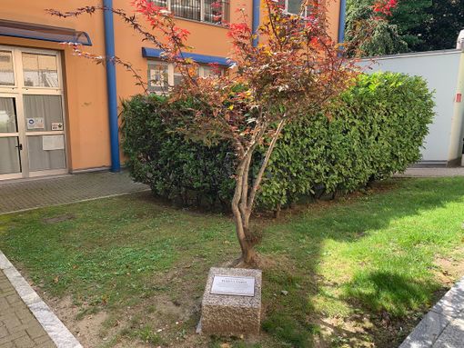 Quando Gino Strada doveva diventare cittadino onorario di Villadossola Quando Gino Strada doveva diventare cittadino onorario di Villadossola