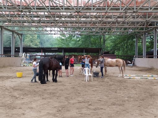 Alla Prateria il campo estivo per giovani disabili
