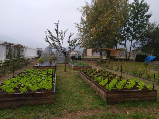 Agricoltura 4.0 alle scuole Casetti con il nuovo orto didattico Agricoltura 4.0 alle scuole Casetti con il nuovo orto didattico