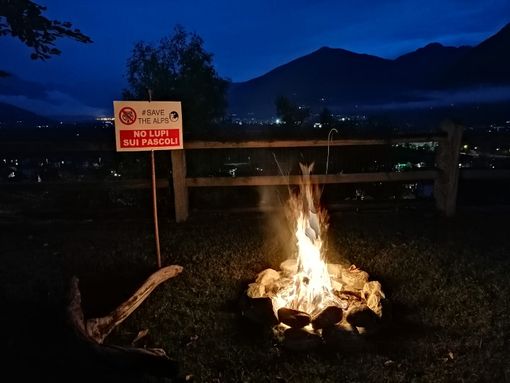 Anche il  Comitato Salvaguardia Allevatori del Vco ha acceso i falò per protestare contro i pericoli dei lupi