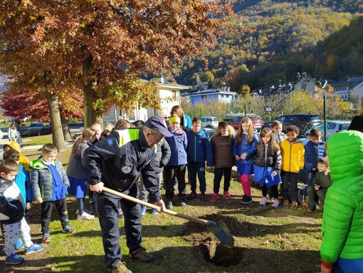 Giornata dell'albero, cerimonia alle elementari di Beura per sensibilizzare le nuove generazioni  FOTO e VIDEO