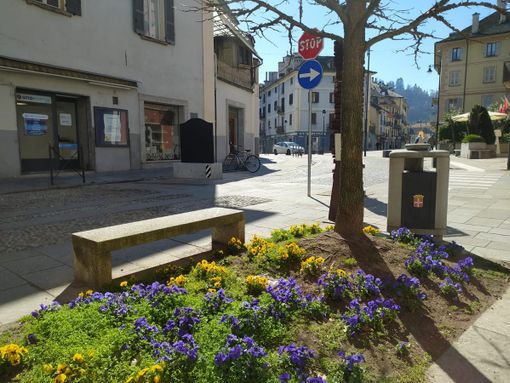 Le quattro stagioni di Vivaldi per dare il benvenuto alla Primavera Le quattro stagioni di Vivaldi per dare il benvenuto alla Primavera