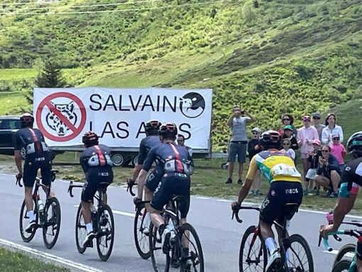 Grandi predatori, protesta degli allevatori vallesani al Tour de Suisse