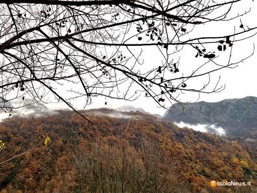 Consumo del suolo in Piemonte, l'allarme degli agronomi Consumo del suolo in Piemonte, l'allarme degli agronomi