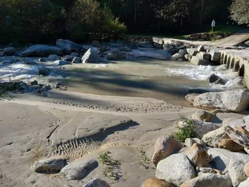 Fango nell'Anza, molti pesci morti   FOTO e VIDEO