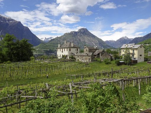 Terrazzamenti coltivati a vite, una gita alla scoperta dei paesaggi di Trontano