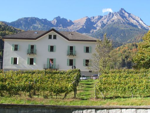 All'Istituto Fobelli di Crodo laboratori agrari dedicati ai futuri iscritti All'Istituto Fobelli di Crodo laboratori agrari dedicati ai futuri iscritti