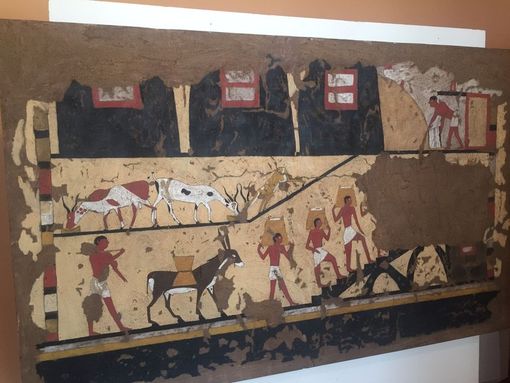 Visita guidata alla mostra "Liberi di imparare"  ﻿