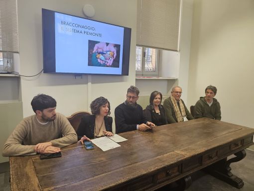 M5S: "Stop al bracconaggio in Piemonte. Cirio stanzi più soldi per assumere guardie faunistiche" M5S: "Stop al bracconaggio in Piemonte. Cirio stanzi più soldi per assumere guardie faunistiche"