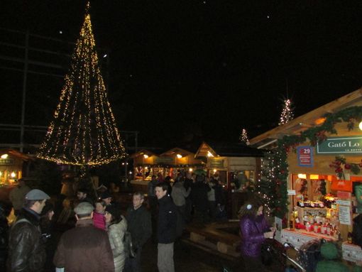 Ai mercatini di Natale di Aosta con la Proloco di Premosello