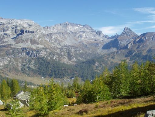 Coldiretti Piemonte: "La legge europea sul ripristino della natura è sbagliata"