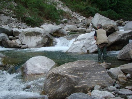 Pesca, la Regione chiede deroga al divieto di immissione di trote fario e iridee Pesca, la Regione chiede deroga al divieto di immissione di trote fario e iridee