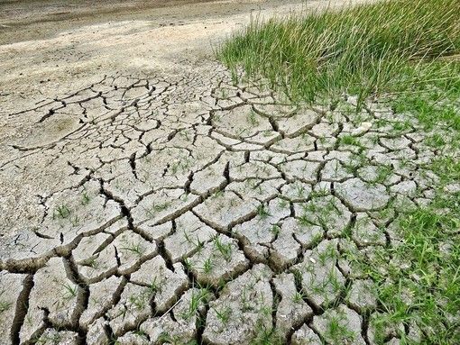 Coldiretti Piemonte lancia l'allarme: "I cambiamenti climatici mettono a rischio produzione e occupazione" Coldiretti Piemonte lancia l'allarme: "I cambiamenti climatici mettono a rischio produzione e occupazione"