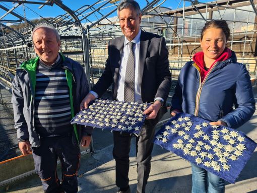 Regione, dal Piemonte stelle alpine per il papa Regione, dal Piemonte stelle alpine per il papa