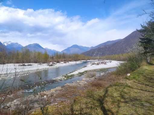Alla scoperta dei tesori naturali del Toce con il bioBlitz &quot;Un fiume di natura&quot;