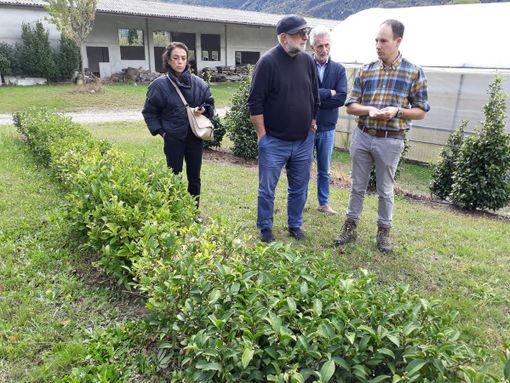Ad Alessandro Zacchera il premio nazionale Bandiera Verde Agricoltura Ad Alessandro Zacchera il premio nazionale Bandiera Verde Agricoltura