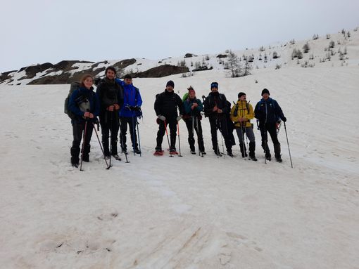 Conteggio annuale della pernice bianca all'alpe Devero: dati incoraggianti Conteggio annuale della pernice bianca all'alpe Devero: dati incoraggianti