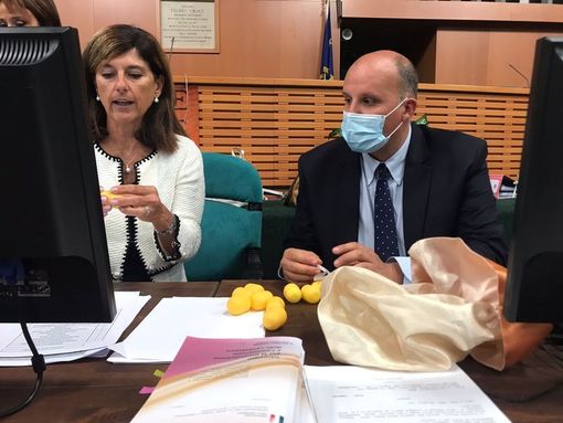 Elezioni, la scheda del Senato in Piemonte: Mastella primo partito, destra prima della sinistra Elezioni, la scheda del Senato in Piemonte: Mastella primo partito, destra prima della sinistra