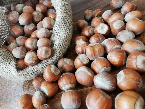 Regione Piemonte, le eccellenze gastronomiche a bordo di Costa Diadema