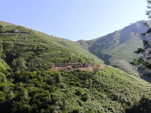 ''Nella nomina del presidente  è sceso in campo il provincialismo''