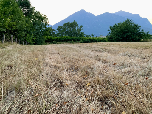 Emergenza idrica, è allerta rossa Emergenza idrica, è allerta rossa