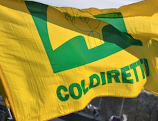 Coldiretti Piemonte sostiene il rilancio e lo sviluppo dell'agricoltura sociale Coldiretti Piemonte sostiene il rilancio e lo sviluppo dell'agricoltura sociale